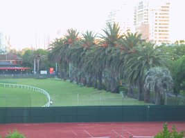 100-0002_IMG_2