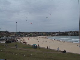 100-0005_IMG