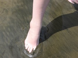 IMG_0095