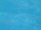 IMG_0090