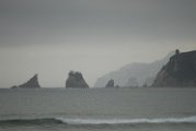 NOR_35983398