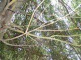 DSCF0689