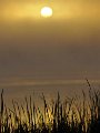 SPO_1579