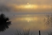 SPO_1587