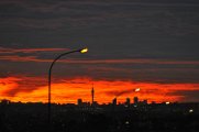 SPO_5608
