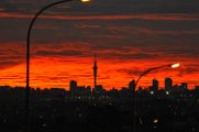 SPO_5628
