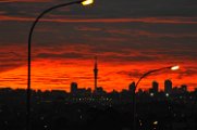 SPO_5629