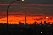 SPO_5630