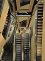 VIV_5361