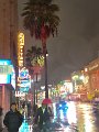 VIV_5438