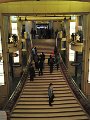 VIV_5495
