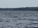 IMG_0011