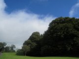 IMG_0023
