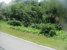 IMG_0163