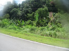 IMG_0164